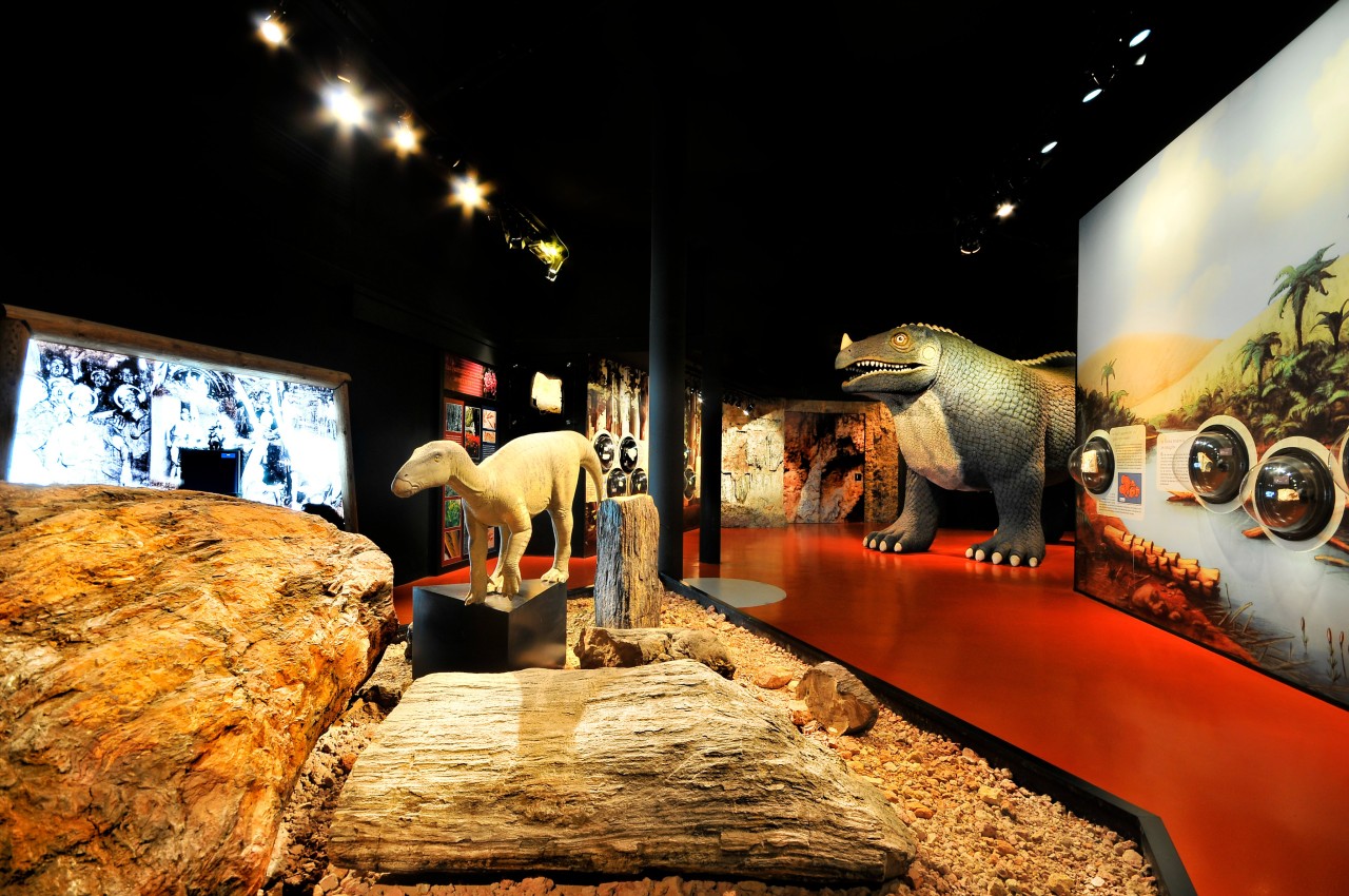 Museo Paleontológico